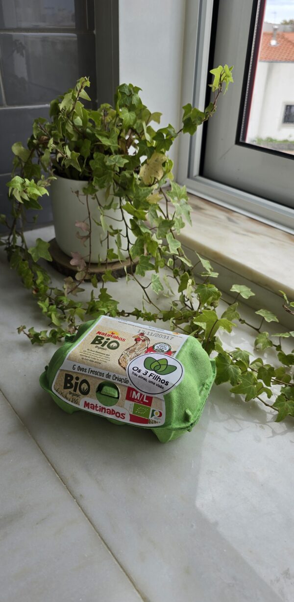 Ovos Matinados BIO Caixa de 6 M/L